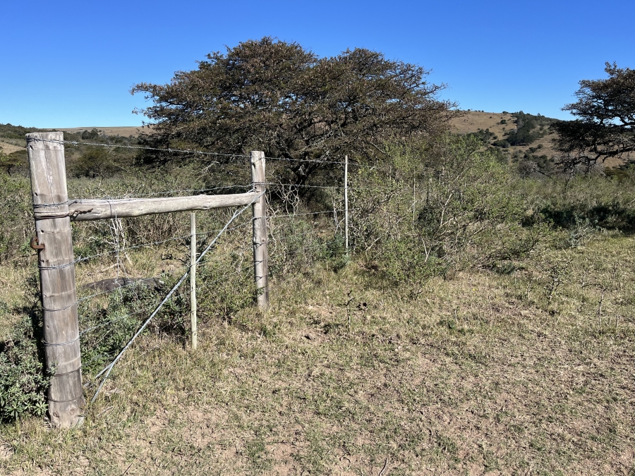 0 Bedroom Property for Sale in Stutterheim Rural Eastern Cape